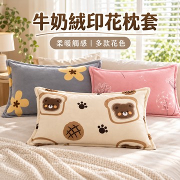 新品推薦 冬季加絨加厚保暖枕套 牛奶絨枕頭套 枕頭套48*74cm 加大枕頭套 枕芯套 枕頭套 枕套 枕頭套加大 親膚