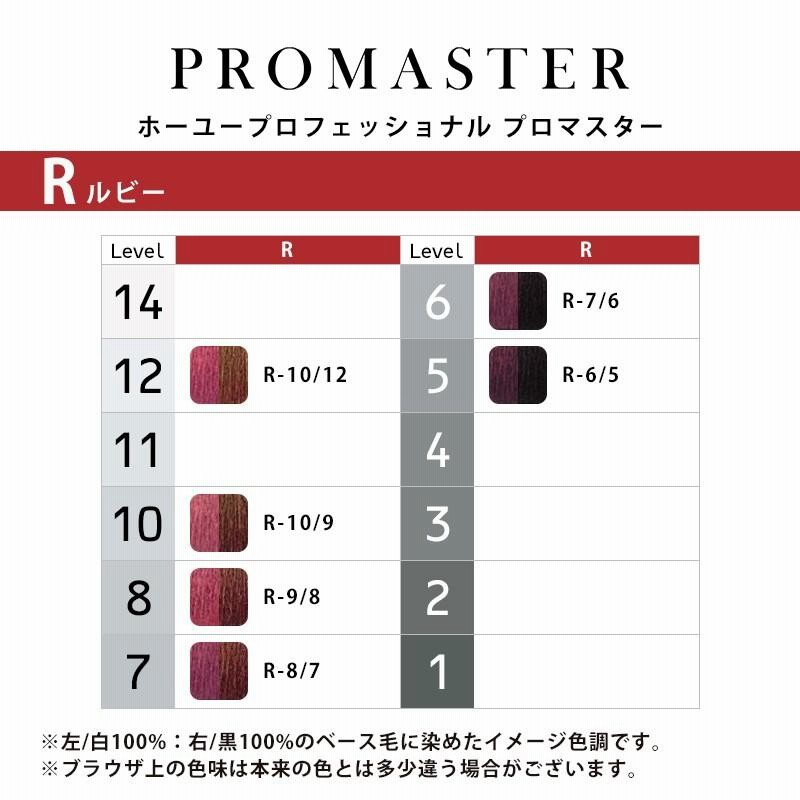 ホーユー プロマスター カラー剤 - カラーリング剤