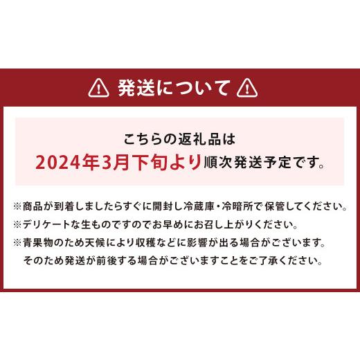 ふるさと納税 熊本県 益城町 益城産 西瓜 約5kg以上 1玉入り