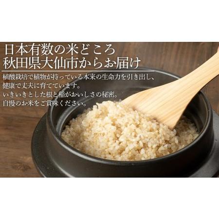 ふるさと納税 令和５年産 新米「特別栽培米あきたこまち　大地の響　玄米１０kg」秋山商店 秋田県大仙市