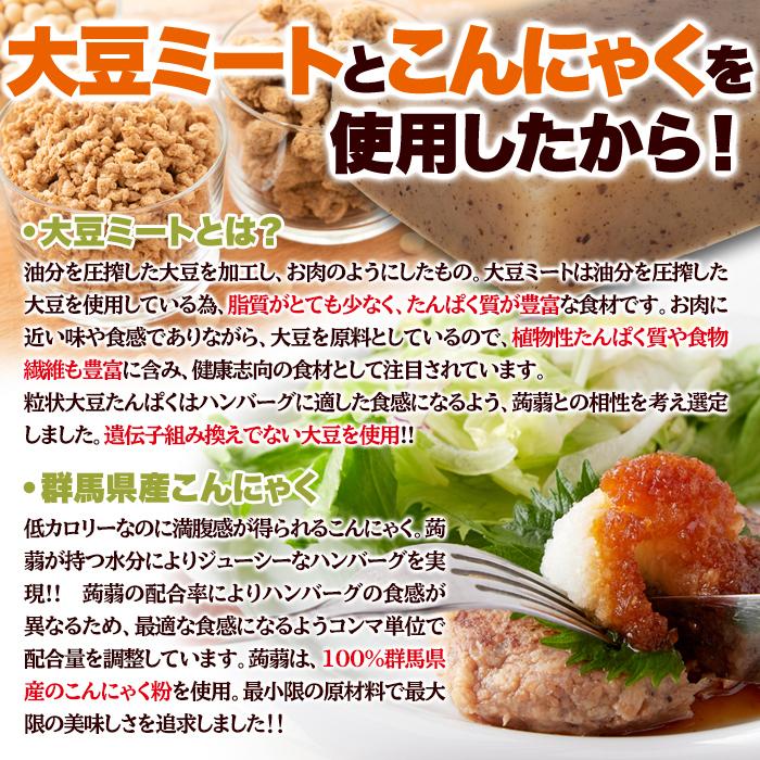 ハンバーグ 大豆ミート ベジタリアン ダイエット レトルト セット 肉不使用 常温保存 非常食 約90g×3袋 〔メール便〕