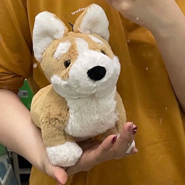 【預購】JELLYCAT 520送禮推薦 狗系列玩偶  柯基 18cm 毛絨公仔 海外代購保證正版