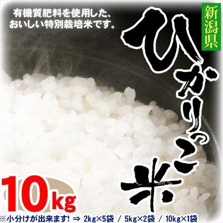 ((令和5年度))新潟ひかりっこ 新潟県産　特別栽培米　ひかりっこ米 10kg (2kg×5袋   5kg×2袋   10kg×1袋)