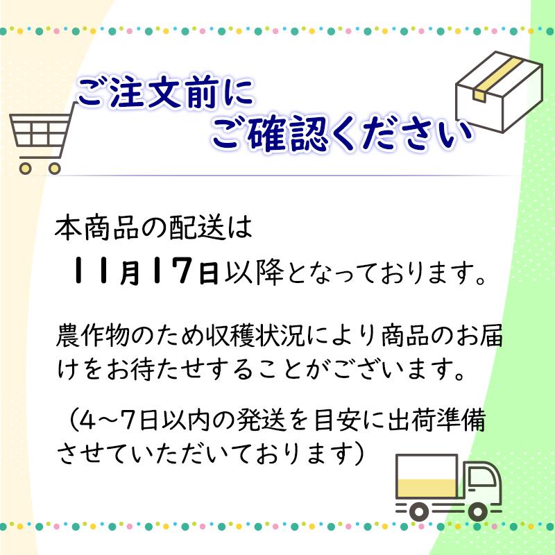 新米　佐賀小城産さがびより10kg（5kg×2袋）