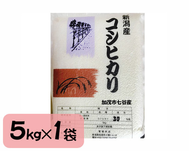 新潟産コシヒカリ 加茂市七谷産 棚田米 精米5kg 白米 真空パック 青柳米店 定期便 定期購入 定期 コシヒカリ 新潟県産コシヒカリ 米 お米