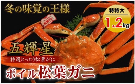 五輝星ボイル松葉ガニ（特特大1.2kg）ブランド五輝星タグ付き松葉ガニ 数量限定品かに カニ 蟹 ボイル 新鮮 かに カニ 蟹 松葉ガニ 松葉がに かに カニ 蟹 ボイル