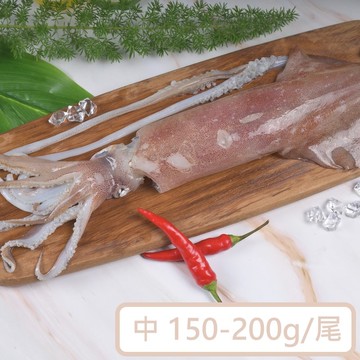 【一夫水產】海釣透抽(中)－6尾組（150-200g/尾）