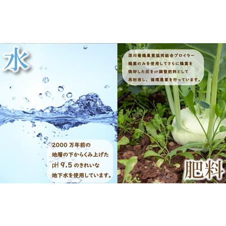 ふるさと納税 旬の 野菜 定期便 3回 お楽しみ 詰め合わせ セット 3種 〜 8種 採れたて 新鮮 下関市 山口 HZ004 山口県下関市