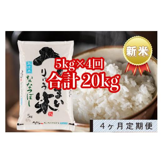 ふるさと納税 北海道 雨竜町 うりゅう米「ななつぼし（無洗米）」5kg 定期便！毎月1回・計4回お届け