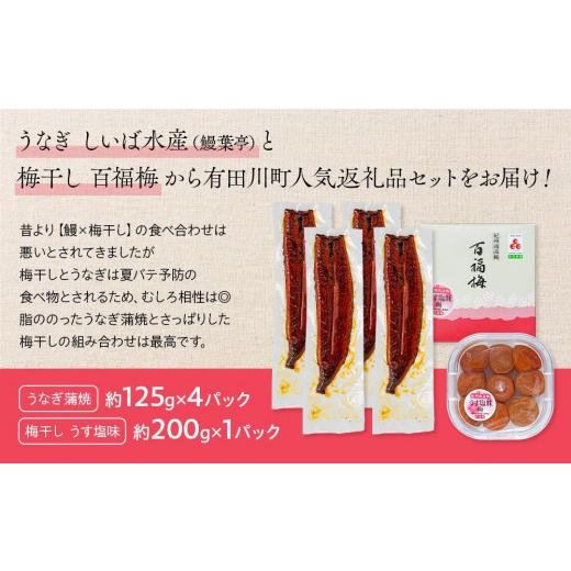 ふるさと納税 和歌山県 有田川町 うなぎ蒲焼 4尾 合計 500g  紀州南高梅干 200g うす塩味 塩分10％ セット