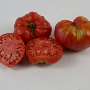 青禾園藝（牛排番茄種子）FQ-25🍅黑紅大果西紅柿種子營養高 可做生菜沙拉~多年生盆栽果菜蔬菜種子#tomato