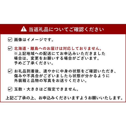 ふるさと納税 熊本県 宇城市  宇城市産 旬の フルーツ 定期便