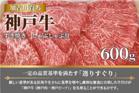 神戸牛（加古川育ち）しゃぶしゃぶ・すき焼（600g）