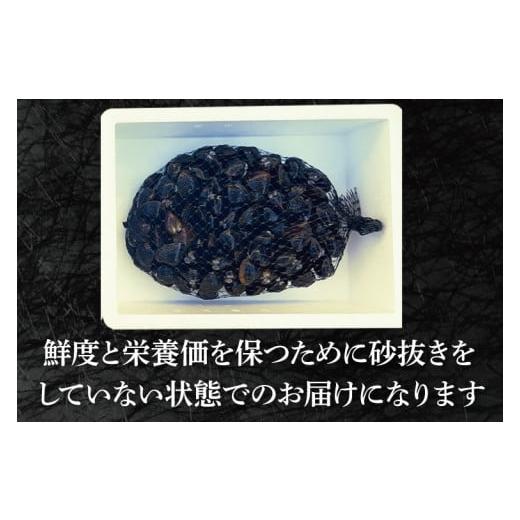 ふるさと納税 茨城県 大洗町 涸沼産 大粒 シジミ 1kg しじみ 蜆 大和しじみ ヤマトシジミ 大玉 冷蔵 味噌汁 スープ 魚貝類 貝 オルニチン コハク酸 魚介類