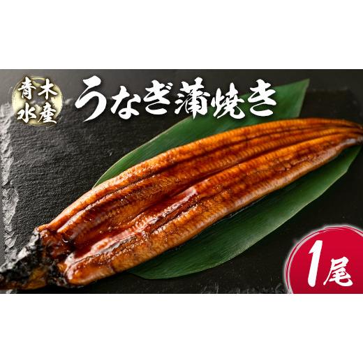 ふるさと納税 宮崎県 新富町 青木水産のうなぎ蒲焼き 1尾（150〜180g） 有頭 宮崎県産