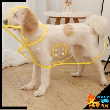 【台灣出貨】寵物雨衣 狗狗雨衣 透明防水 貓咪雨衣 中大型金毛 泰迪 柴犬 中小型大型犬寵物衣服 寵物雨披