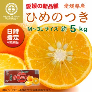 [予約 2023年3 1から日時指定可] ひめのつき 約5kg M-3Lサイズ 愛媛県産 産地箱 高糖度 みかん 柑橘 柑橘王国愛媛 ひめのつき JA全農えひ