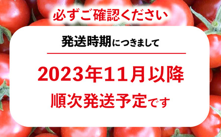 トマト好きが、恋をする。　1kg×2　金赤トマトミニ