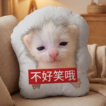 【兔子】低脂小異形抱枕送朋友禮物臥室牀頭腰枕客廳靠背枕頭辦公室靠枕免運