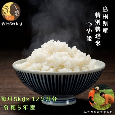 感動米 特別栽培米つや姫　5kg×12回