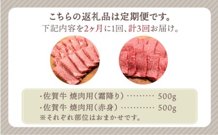 佐賀牛 焼肉セット 1.0kg（霜降り・赤身 各500g）黒毛和牛 焼肉 バーベキュー BBQ[HBH122]