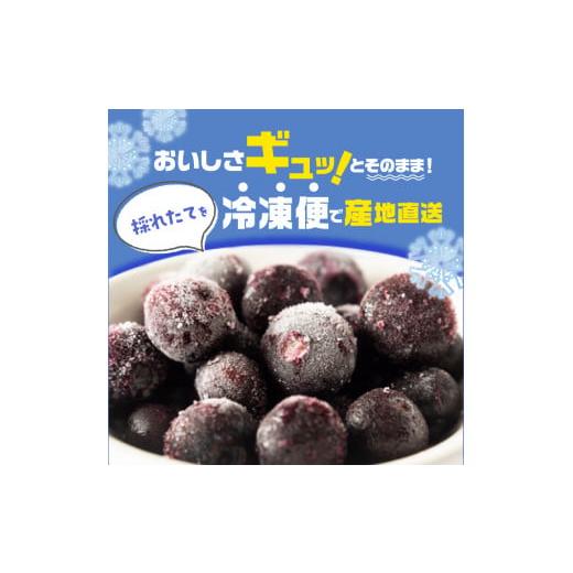 ふるさと納税 福島県 二本松市 東京農工大学名誉教授「横山　正」ブランドのブルーベリー冷凍果実2パックセット（品種おまかせ）