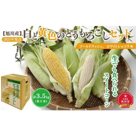 ふるさと納税 白と黄色のとうもろこしセット　各5本（計3.5kg）(2024年8月上旬発送開始予定) 北海道旭川市