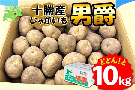 北海道 じゃがいも 男爵 10kg 北海道産 十勝産 男爵芋 男爵イモ 男爵薯 ジャガイモ 芋 いも ポテト お取り寄せ まとめ買い 送料無料 十勝 士幌町