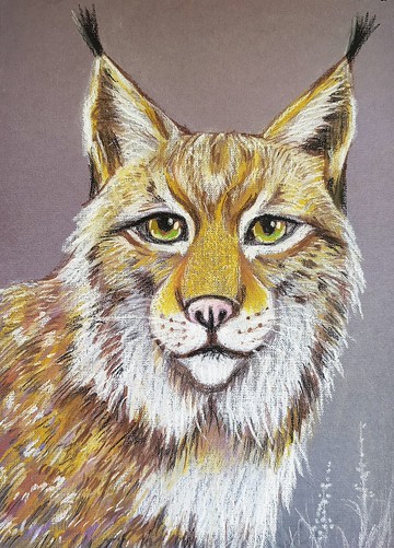 猞猁油畫棒在紙油畫原作動物原作上的肖像