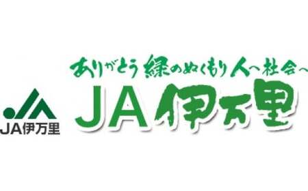 フルーツ定期便彩 いちご もも  みかん等 10種類  B182