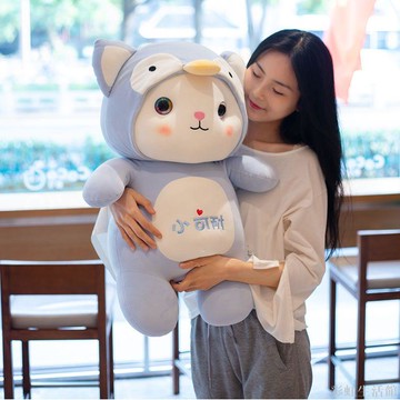可愛小貓咪公仔卡通玩偶送兒童女生節日禮物貓咪變身恐龍毛絨玩具