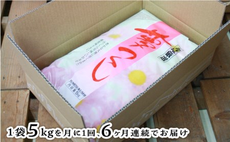 糸島産 夢つくし 5kg × 6回　糸島市   三島商店 米 お米 ご飯 白米 夢つくし ゆめつくし 九州 福岡 5キロ [AIM006]