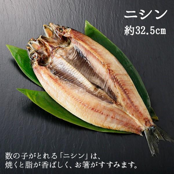 北海道 干物 ギフト セット 詰め合わせ 7点 海鮮 魚 ひもの ホッケ 秋刀魚 カレイ 鰊 鰯 秋鮭 コマイ