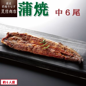 うなぎ 国産 蒲焼き 中115-130g×6尾 約6人前 豊橋うなぎ ウナギ 鰻 送料無料 お歳暮 クリスマス 誕生日 プレゼント 食べ物 真空パック