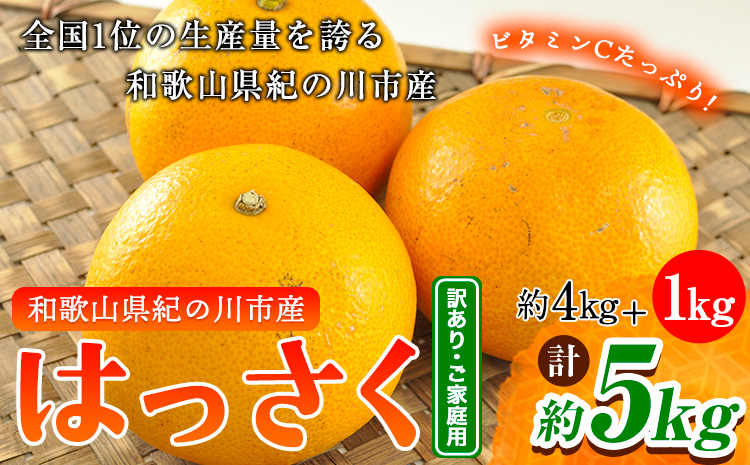 はっさく 八朔 4kg＋1kg  計約5kg サンファーム《1月上旬-3月中旬頃より出荷予定》和歌山県 紀の川市 ご家庭用---wsk_saf4_a13_23_5000_5kg---