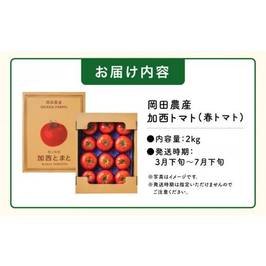 ふるさと納税 兵庫県 加西市 加西とまと（2023年度産）2kg