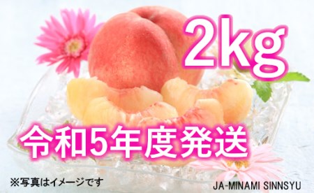 6-J01桃　あかつき約2kg