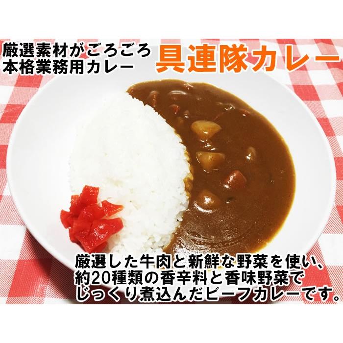 業務用カレー 具連隊 カレー 200g×3食お試しセット