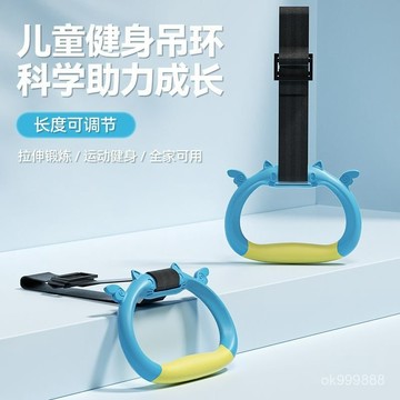 台灣出貨  吊環 健身吊環 運動吊環健身吊環家用引體嚮上脊椎牽引兒童室內拉環成人拉伸訓練運動器材 WWGG