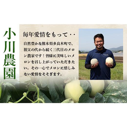 ふるさと納税 熊本県 多良木町 熊本県産 ホームランメロン アンデスメロン 食べ比べ 計5玉 約5kg【 令和6年 先行 御予…