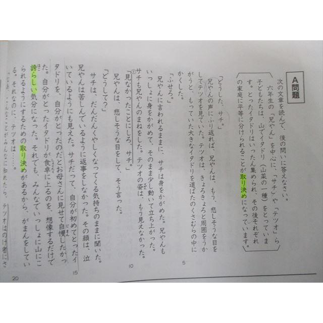 SI19-023 浜学園 5年生 入試 国語 合格達成への礎 完全学習 夏期講習 第一分冊〜第四分冊 2016 問題 解答付計10冊 sale L2D