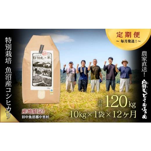 ふるさと納税 新潟県 十日町市 ≪令和5年産≫農家直送！魚沼産コシヒカリ特別栽培「白羽毛の米」精米(10kg×1袋)×12回 120kg