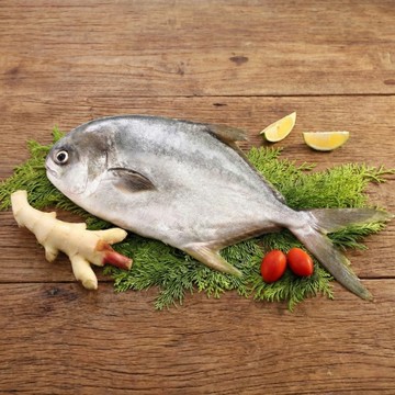 【澎湖區漁會】嚴選黃金鯧 400g/尾 (4尾組)｜海鮮界的金條｜肉嫩刺少｜乾煎首選