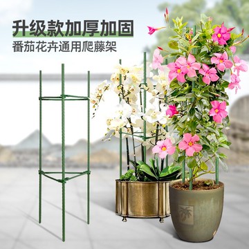 爬藤架園藝花架支架植物攀爬架包塑鋼管室內外月季鐵線蓮葡萄托架