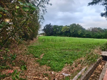 新屋社子國小旁漂亮農地｜桃園市新屋區社子