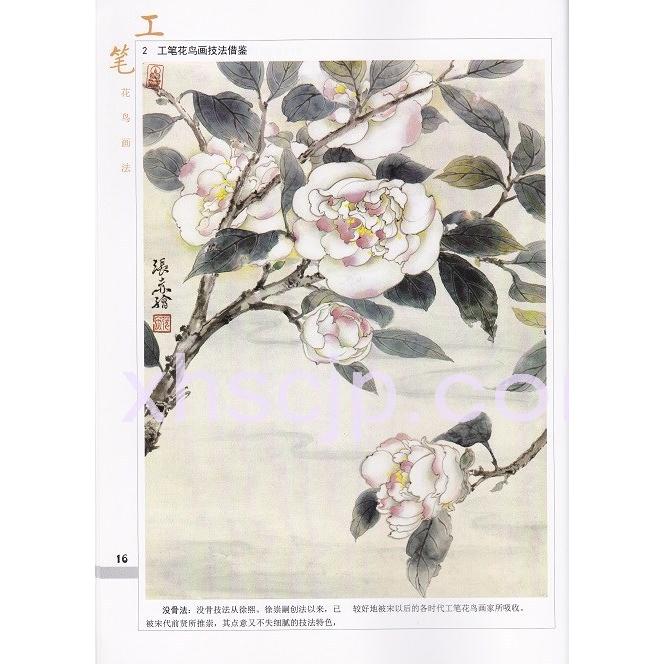 花鳥　工筆画法　中国画基礎画法叢書　工#31508;花#40479;画法