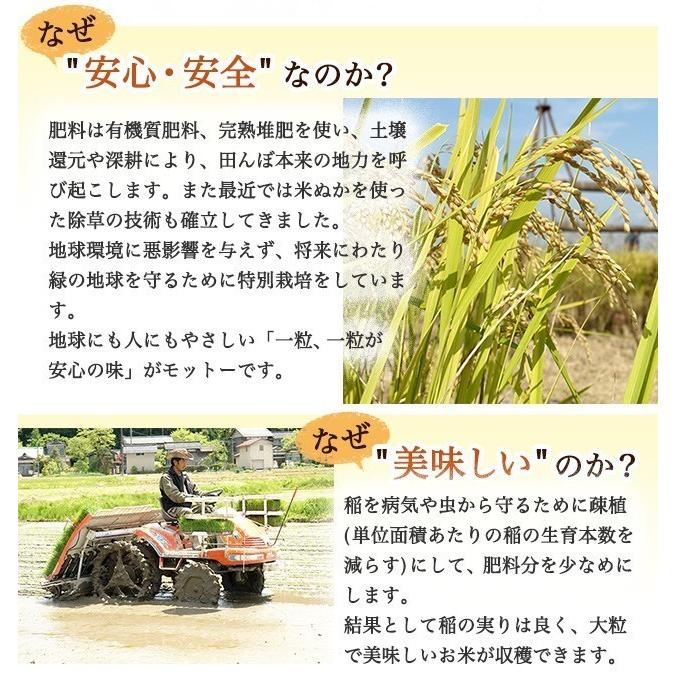 令和5年度産 新米 新潟県 加茂産 特別栽培米 こしひかり 10kg 特別栽培米こしひかり 送料無料