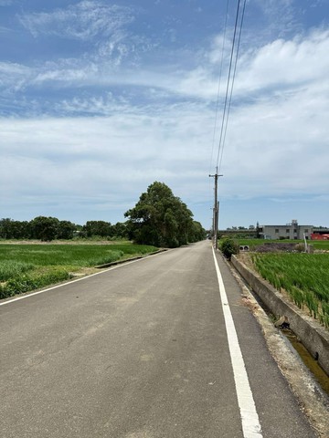 新屋/綠色隧道旁203坪田(依法可申請建造)｜桃園市新屋區深圳十路