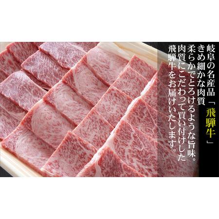 ふるさと納税 牛肉 飛騨牛 焼き肉 セット 赤身 モモ 又は カタ 500g 黒毛和牛 A5 美味しい お肉 牛 肉 和牛 焼肉 BBQ バーベキュー  【岐阜県.. 岐阜県揖斐川町