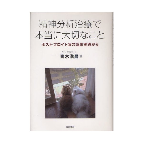 精神分析治療で本当に大切なこと ポスト・フロイト派の臨床実践から